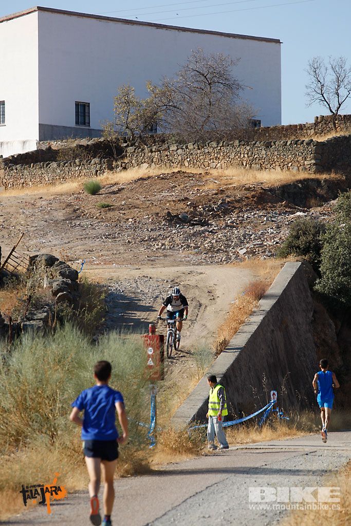 Talajara 2016. Vía Verde de la Jara. Recorrido largo. Galería 3
