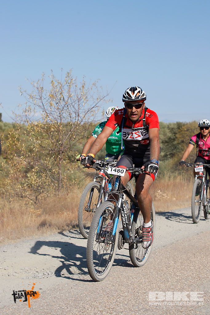 Talajara 2016. Vía Verde de la Jara. Recorrido corto. Galería 4