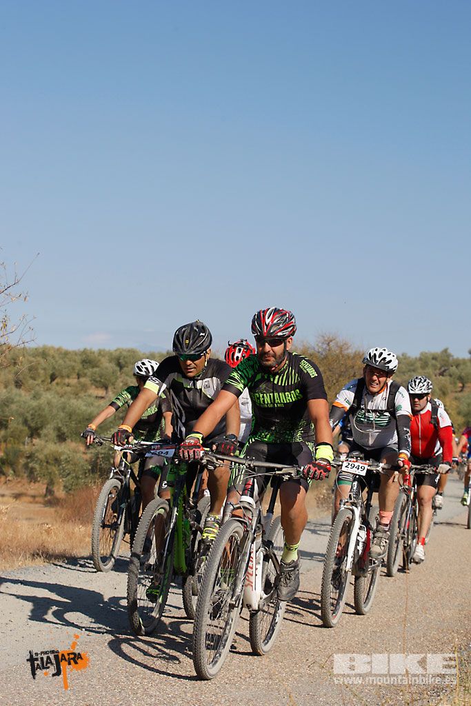 Talajara 2016. Vía Verde de la Jara. Recorrido corto. Galería 4