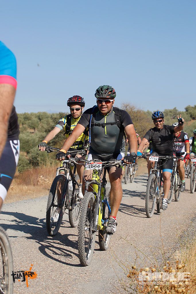 Talajara 2016. Vía Verde de la Jara. Recorrido corto. Galería 4