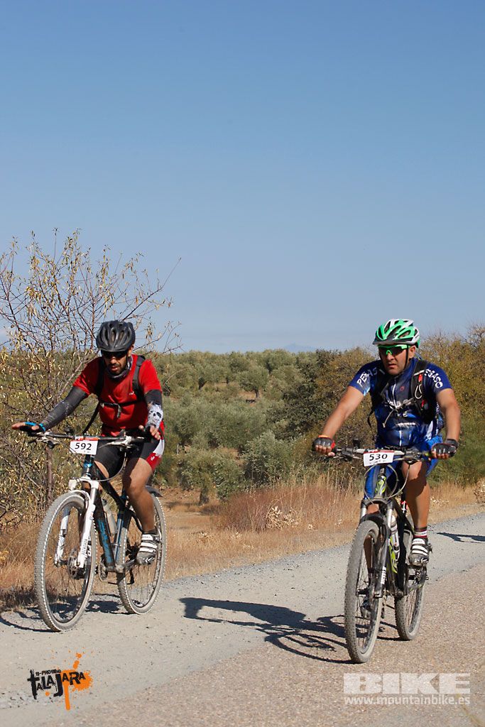 Talajara 2016. Vía Verde de la Jara. Recorrido corto. Galería 4