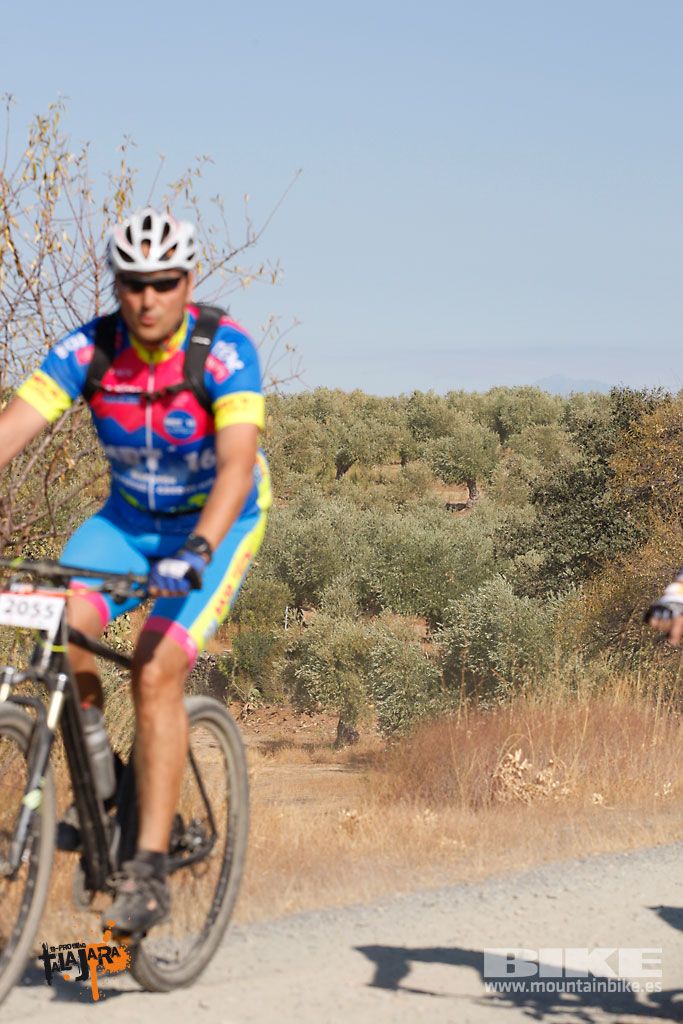 Talajara 2016. Vía Verde de la Jara. Recorrido corto. Galería 5