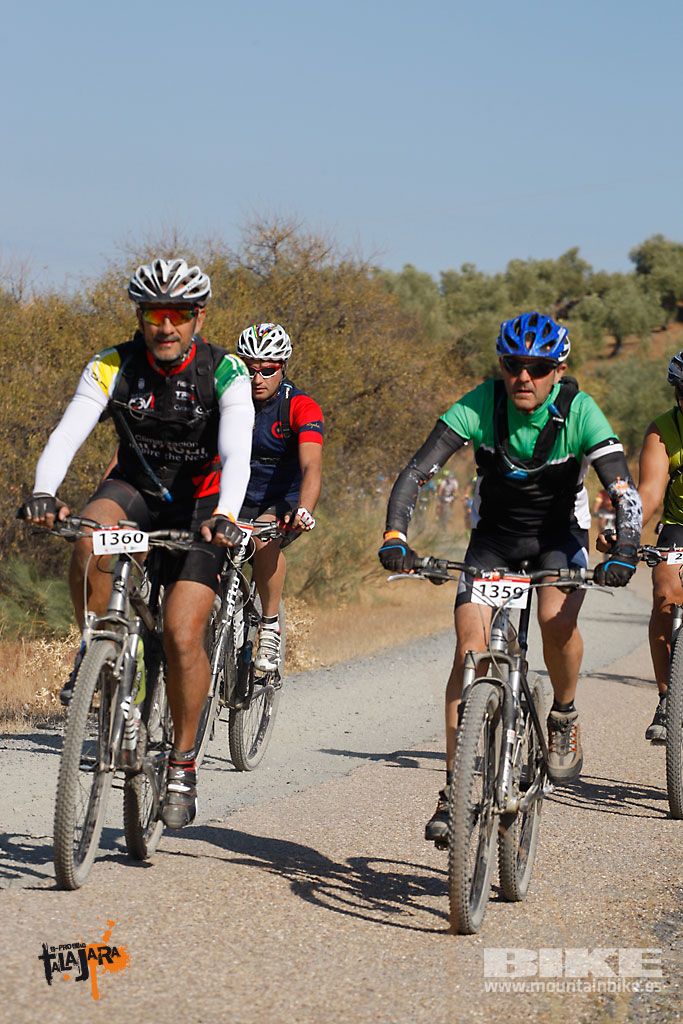 Talajara 2016. Vía Verde de la Jara. Recorrido corto. Galería 5