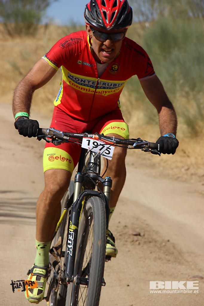 Talajara 2016. Alcaudete de la Jara. Galería 1