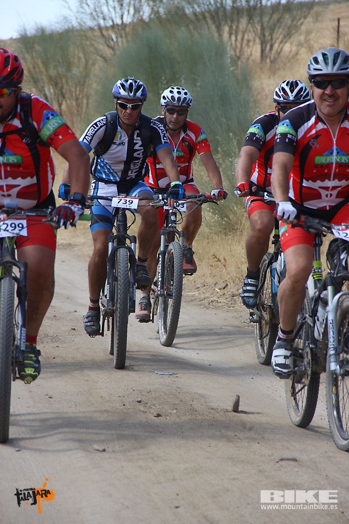 Talajara 2016. Alcaudete de la Jara. Galería 10