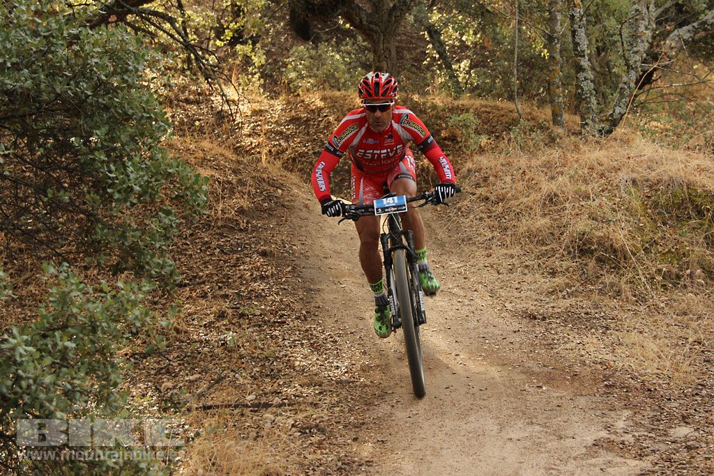 Scott 7 Estrellas Madrid 2016
