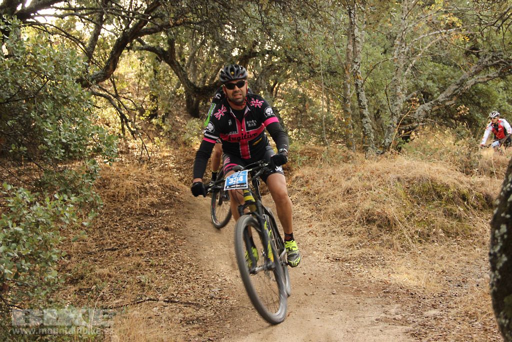Scott 7 Estrellas Madrid 2016 Galeria 3