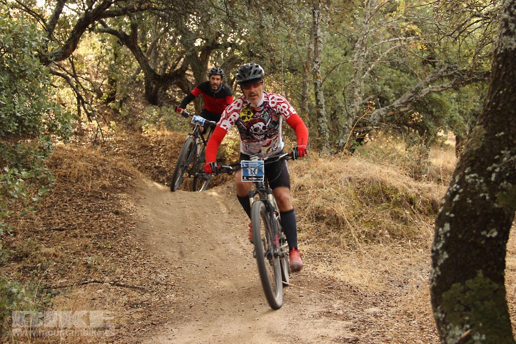 Scott 7 Estrellas Madrid 2016 Galeria 3