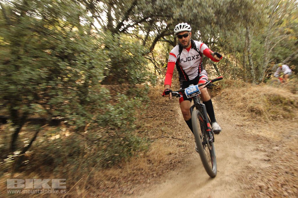 Scott 7 Estrellas Madrid 2016 Galeria 3