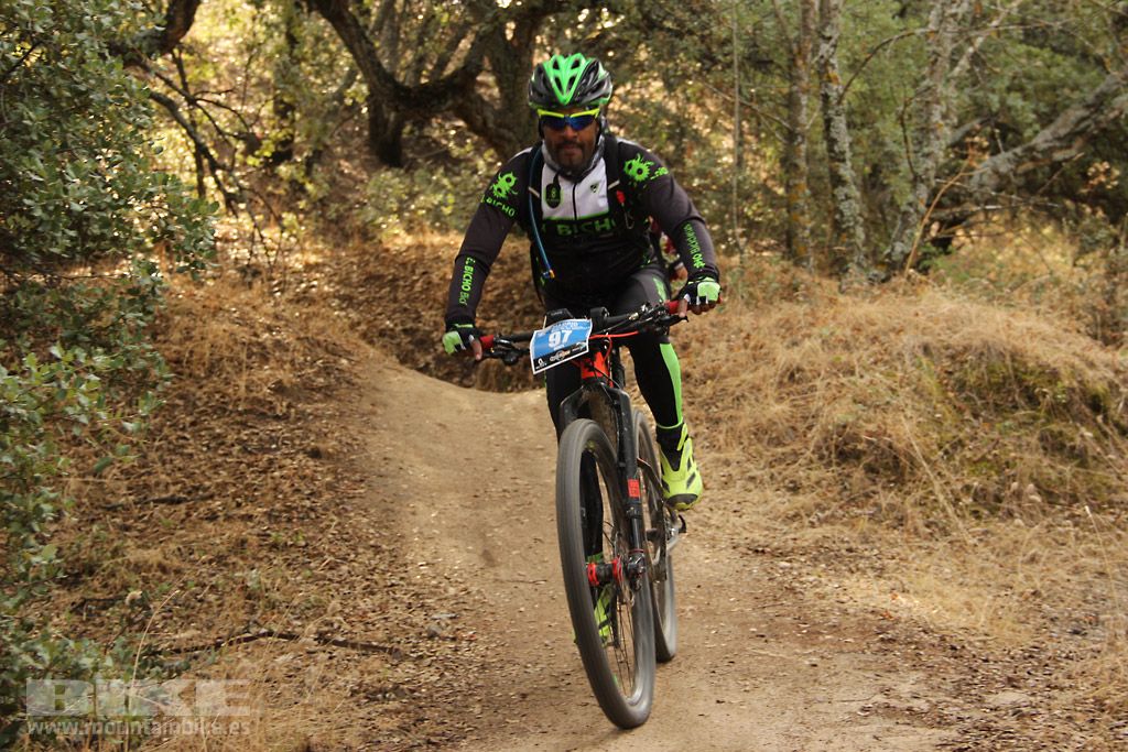 Scott 7 Estrellas Madrid 2016 Galeria 3