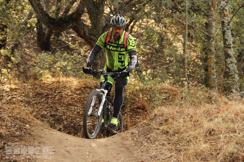 Scott 7 Estrellas Madrid 2016 Galeria 3