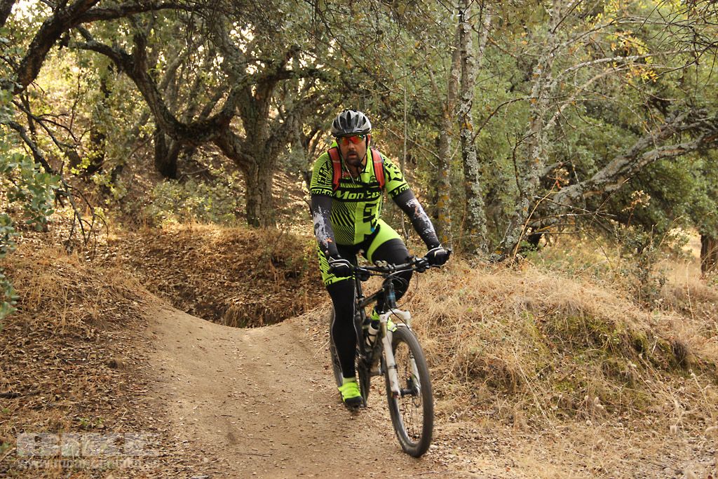 Scott 7 Estrellas Madrid 2016 Galeria 3