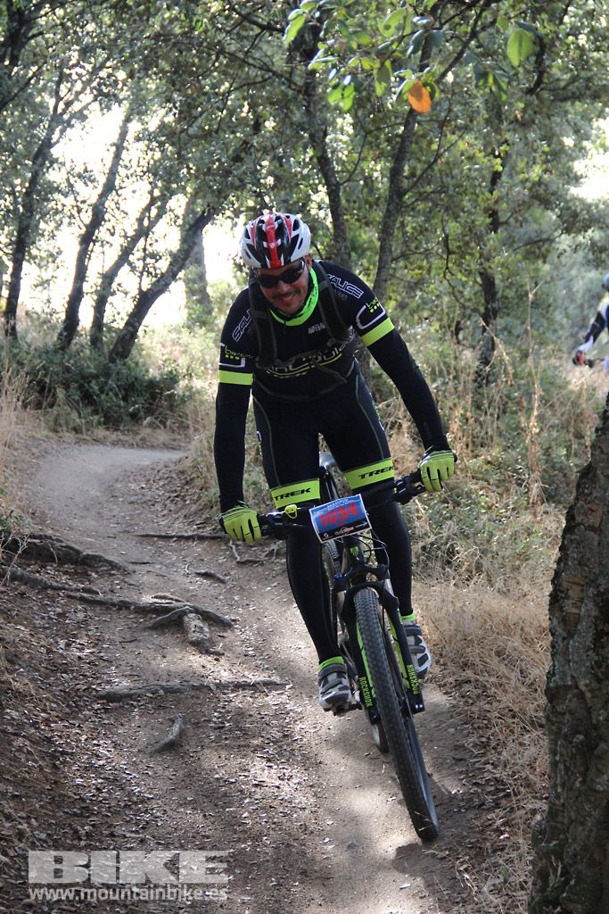 Scott 7 Estrellas Madrid 2016 Galeria 5