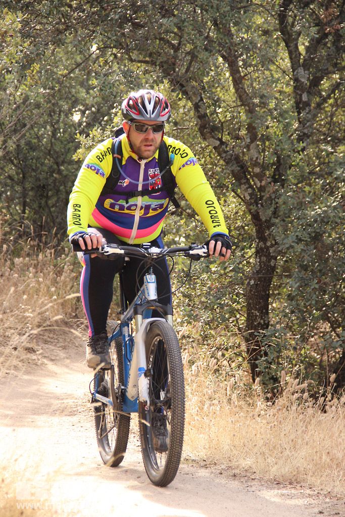Scott 7 Estrellas Madrid 2016 Galeria 7