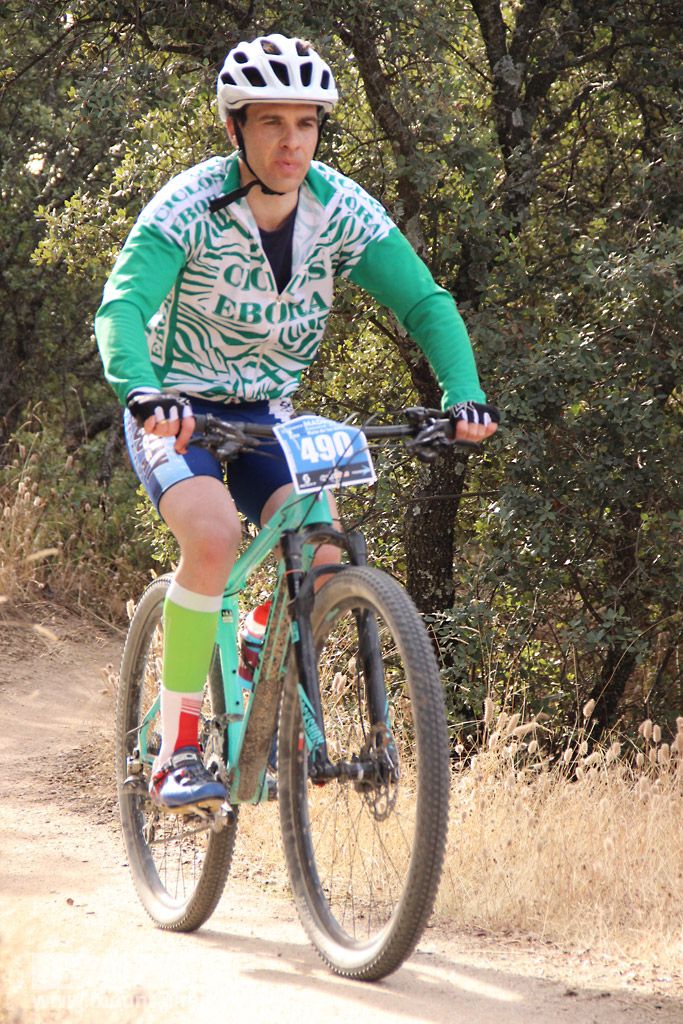 Scott 7 Estrellas Madrid 2016 Galeria 7
