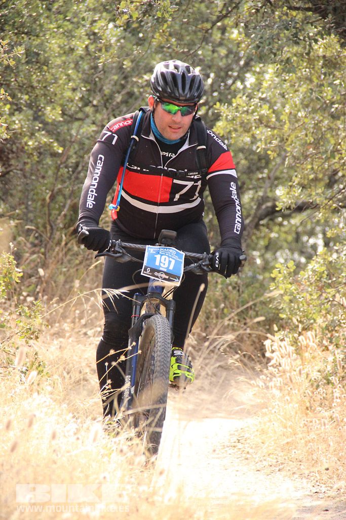 Scott 7 Estrellas Madrid 2016 Galeria 9