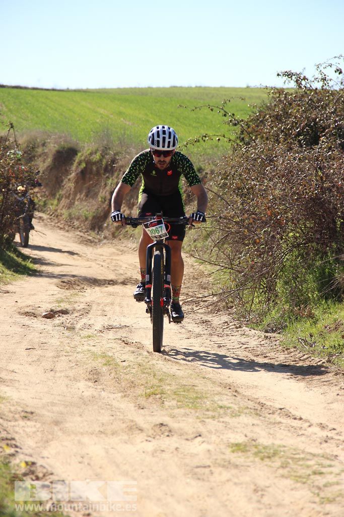Navalcarnero al Límite 2017 Km 27. Galeria 1