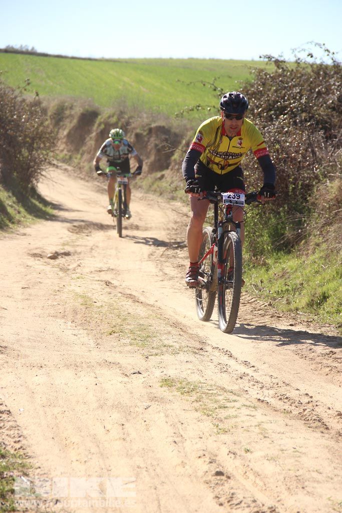 Navalcarnero al Límite 2017 Km 27. Galeria 1