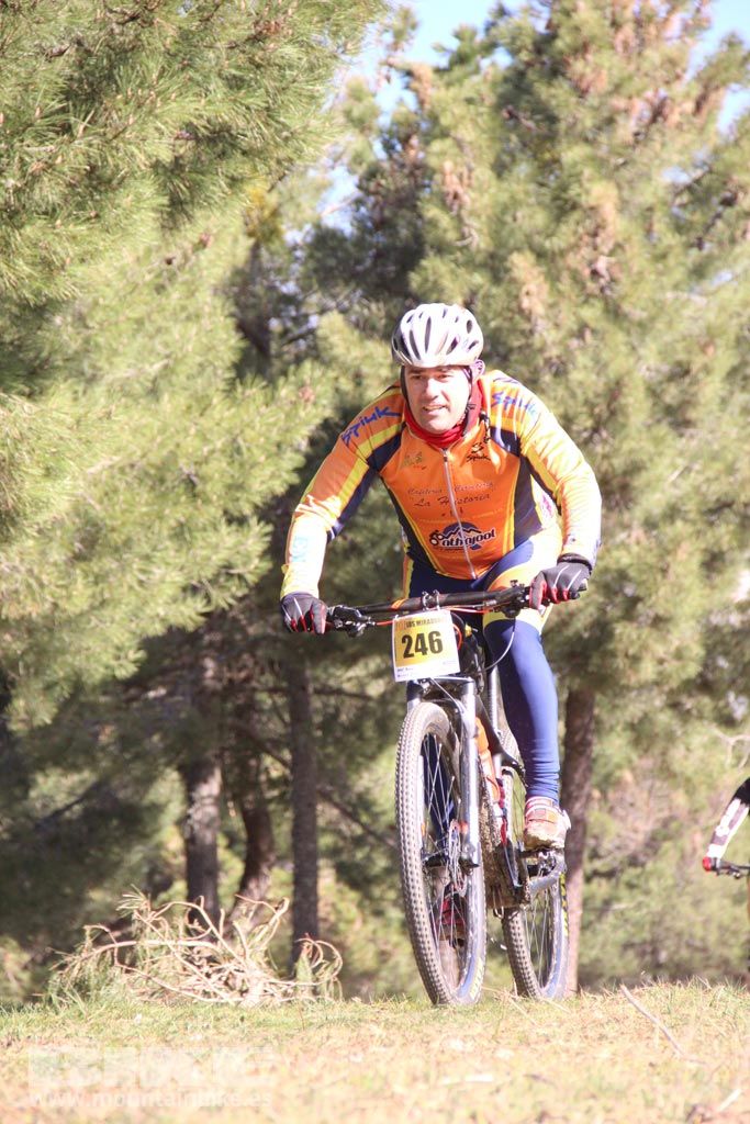 101 Los Miradores. Km 27. Galeria 4