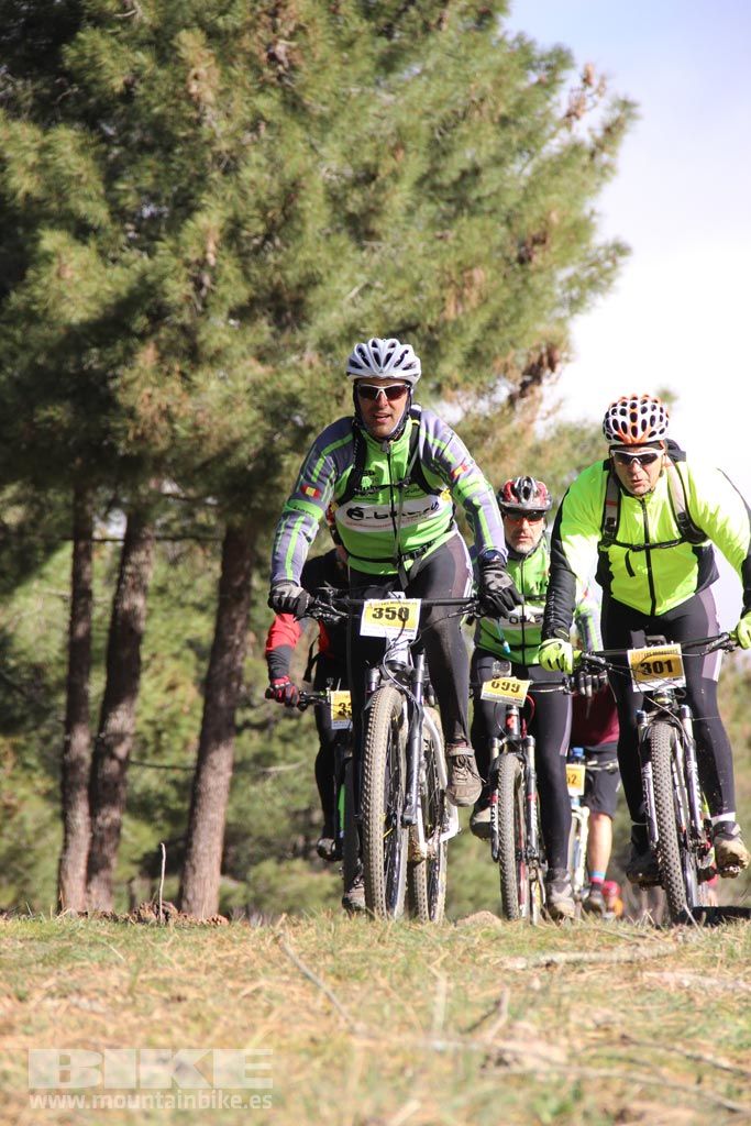 101 Los Miradores. Km 27. Galeria 4