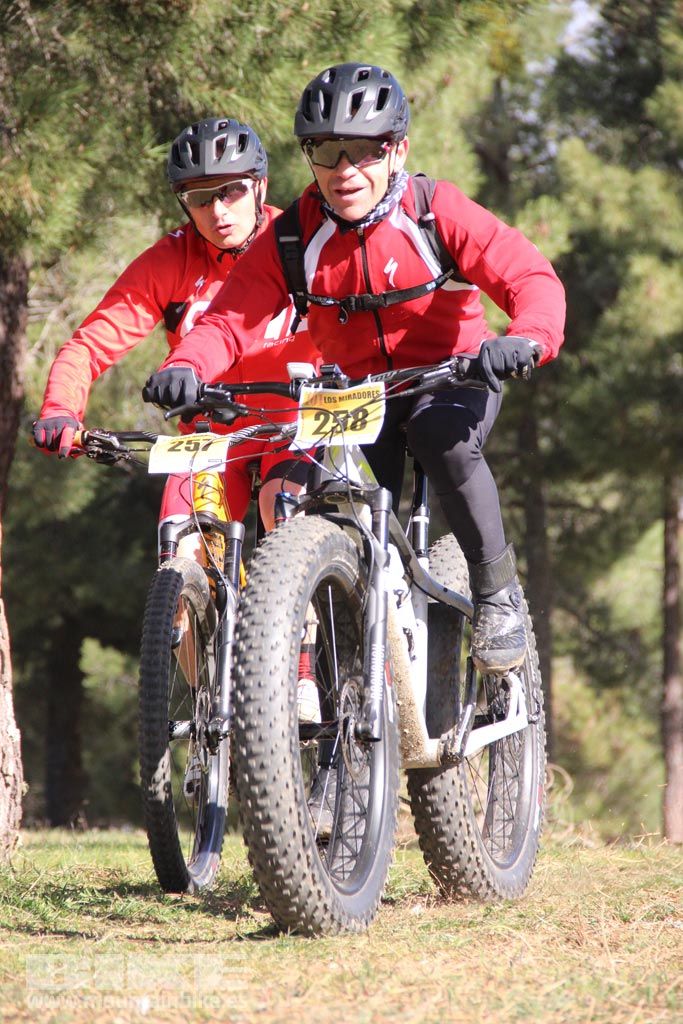 101 Los Miradores. Km 27. Galeria 4