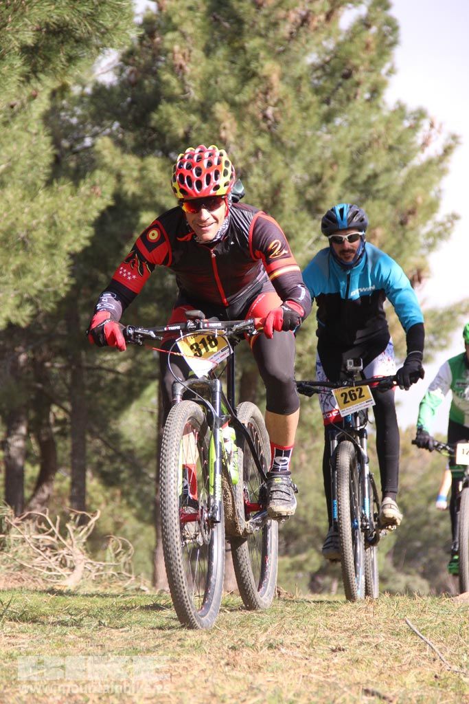 101 Los Miradores. Km 27. Galeria 4