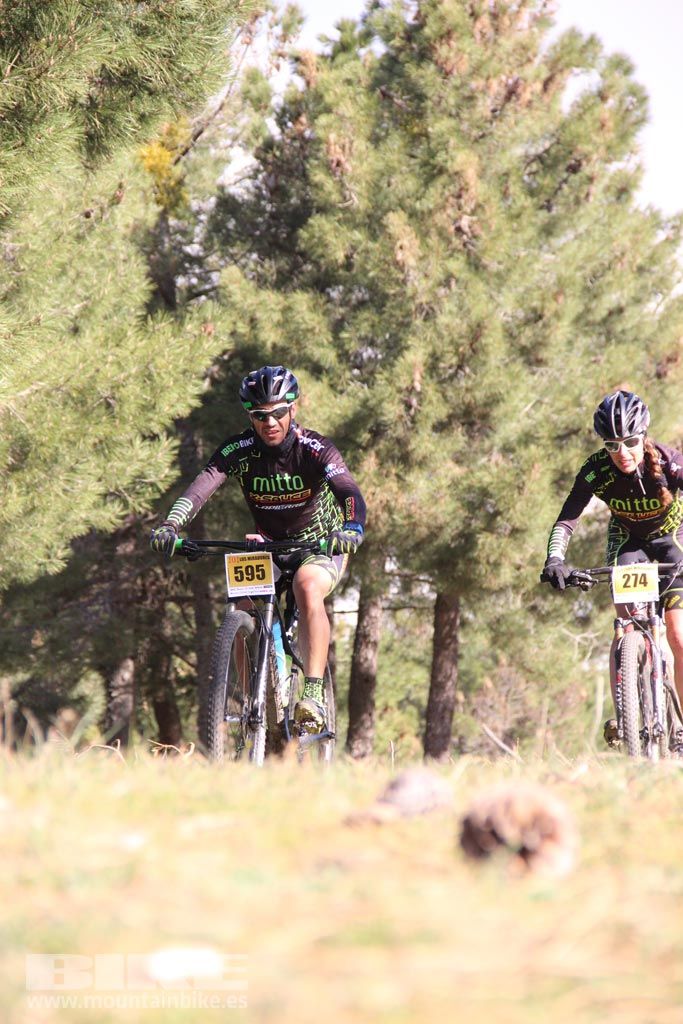 101 Los Miradores. Km 27. Galeria 4