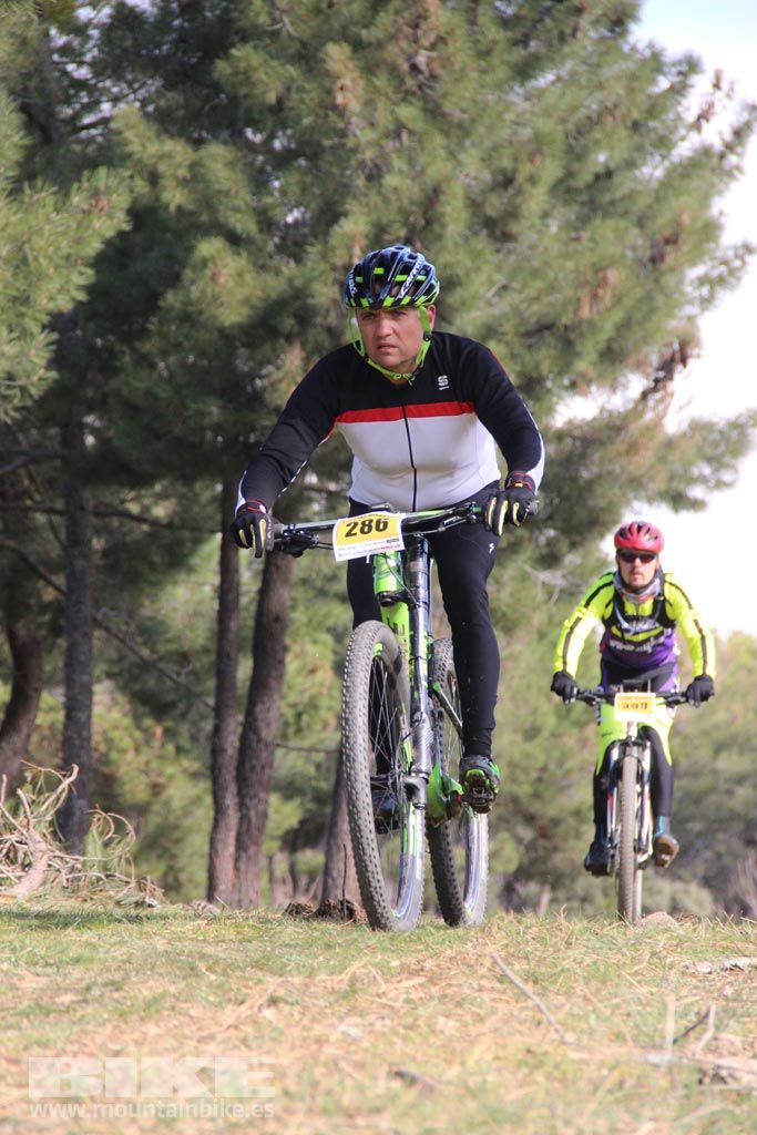 101 Los Miradores. Km 27. Galeria 4