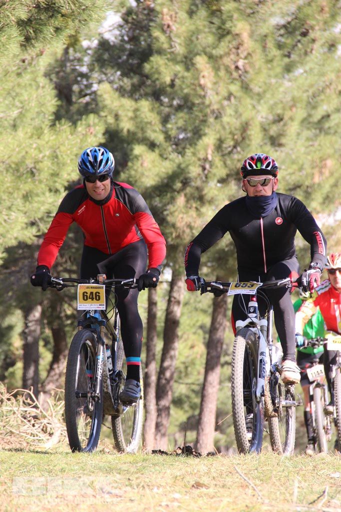101 Los Miradores. Km 27. Galeria 4