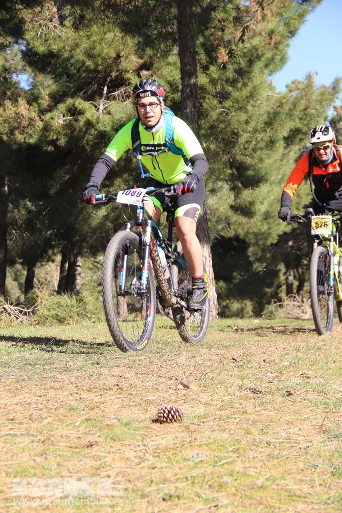 101 Los Miradores. Km 27. Galeria 4