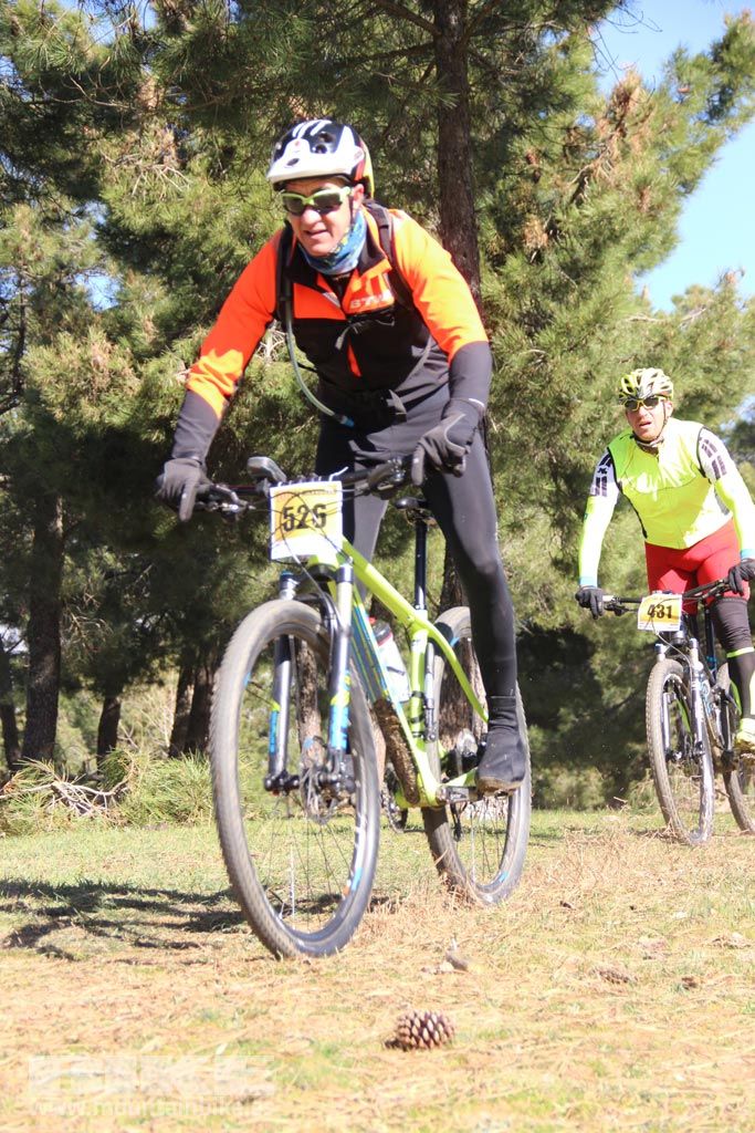 101 Los Miradores. Km 27. Galeria 4