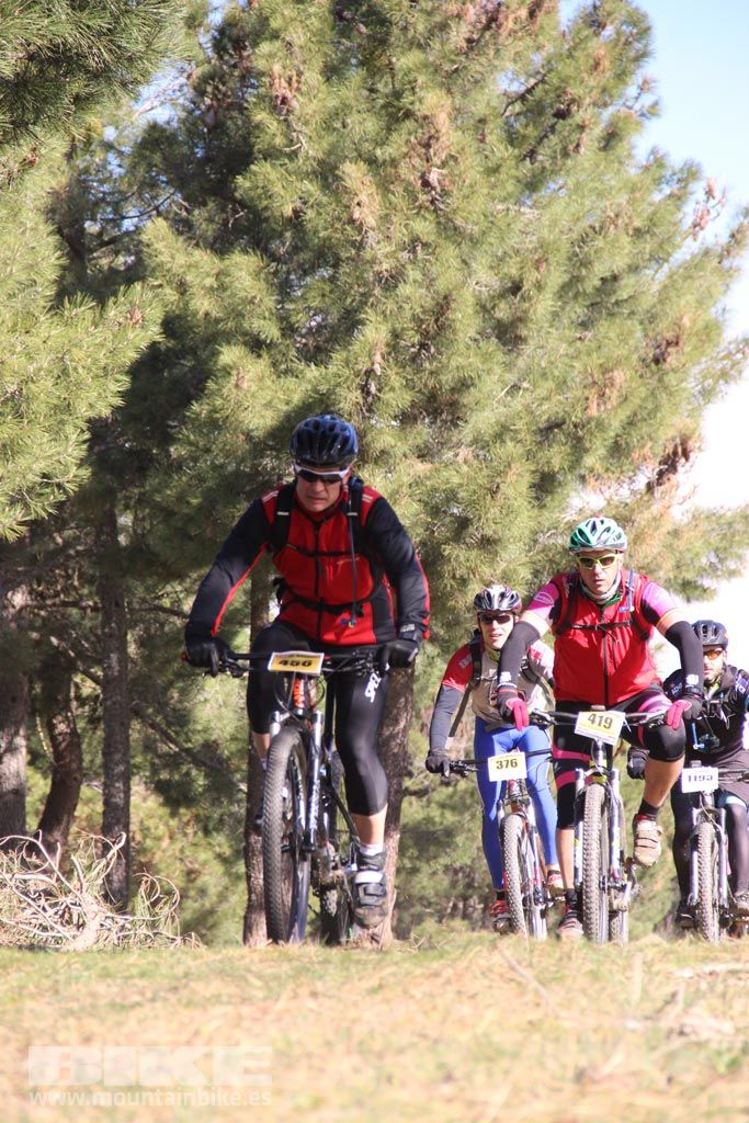 101 Los Miradores. Km 27. Galeria 4