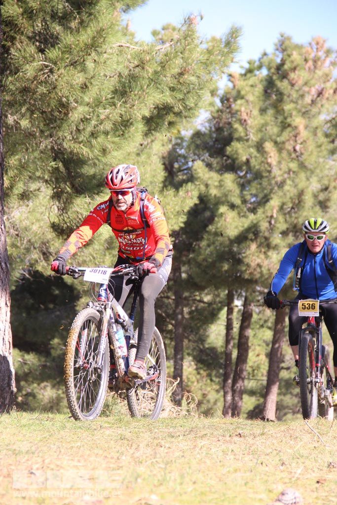 101 Los Miradores. Km 27. Galeria 4