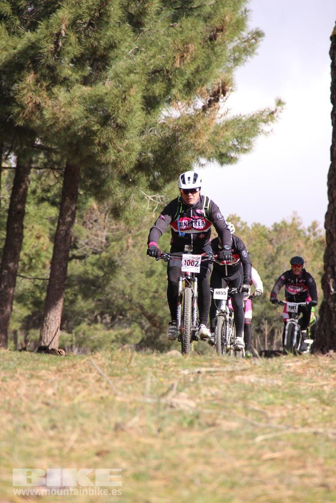 101 Los Miradores. Km 27. Galeria 4
