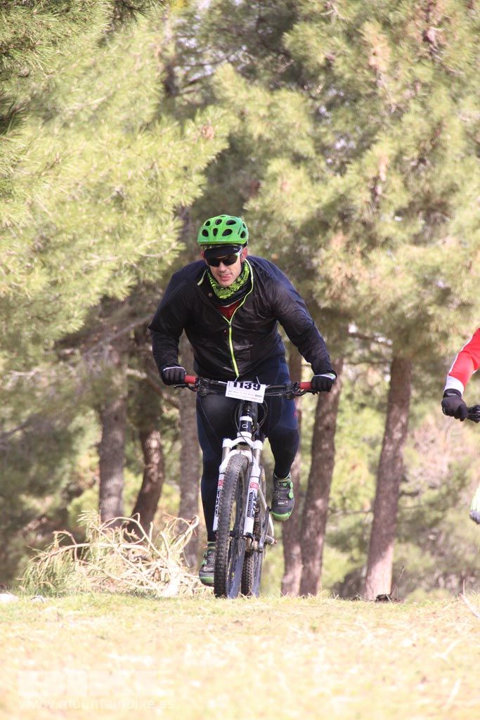 101 Los Miradores. Km 27. Galeria 4