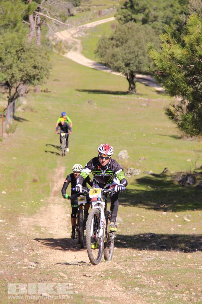 101 Los Miradores. Km 50. Galeria 5