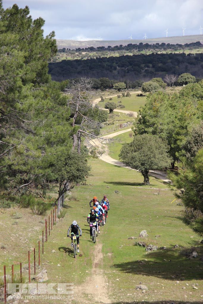101 Los Miradores. Km 50. Galeria 5