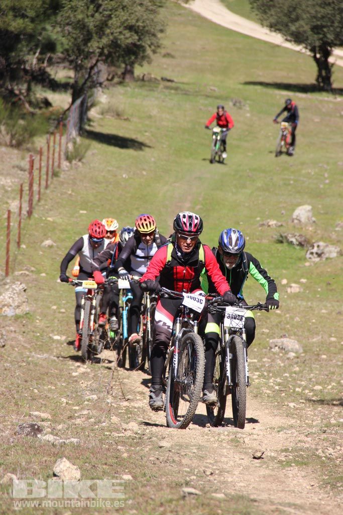 101 Los Miradores. Km 50. Galeria 8