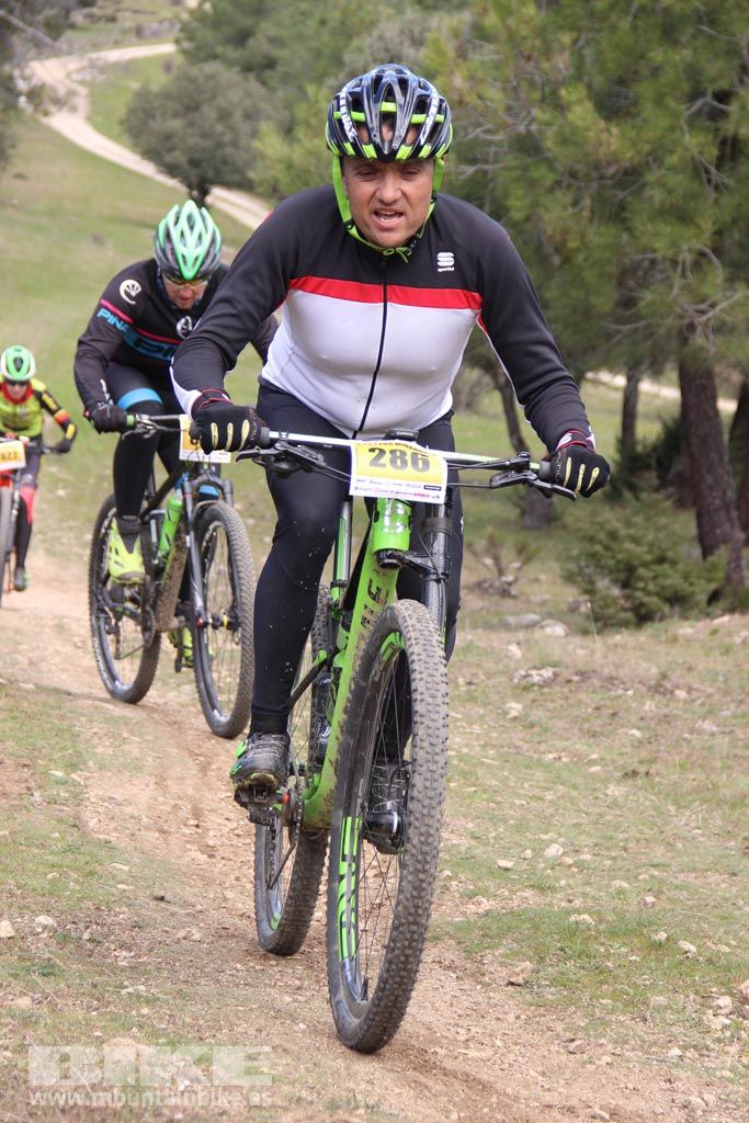 101 Los Miradores. Km 50. Galeria 8