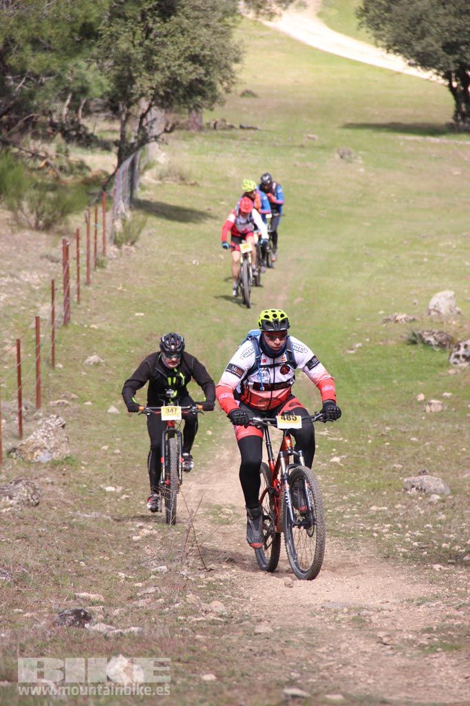 101 Los Miradores. Km 50. Galeria 8