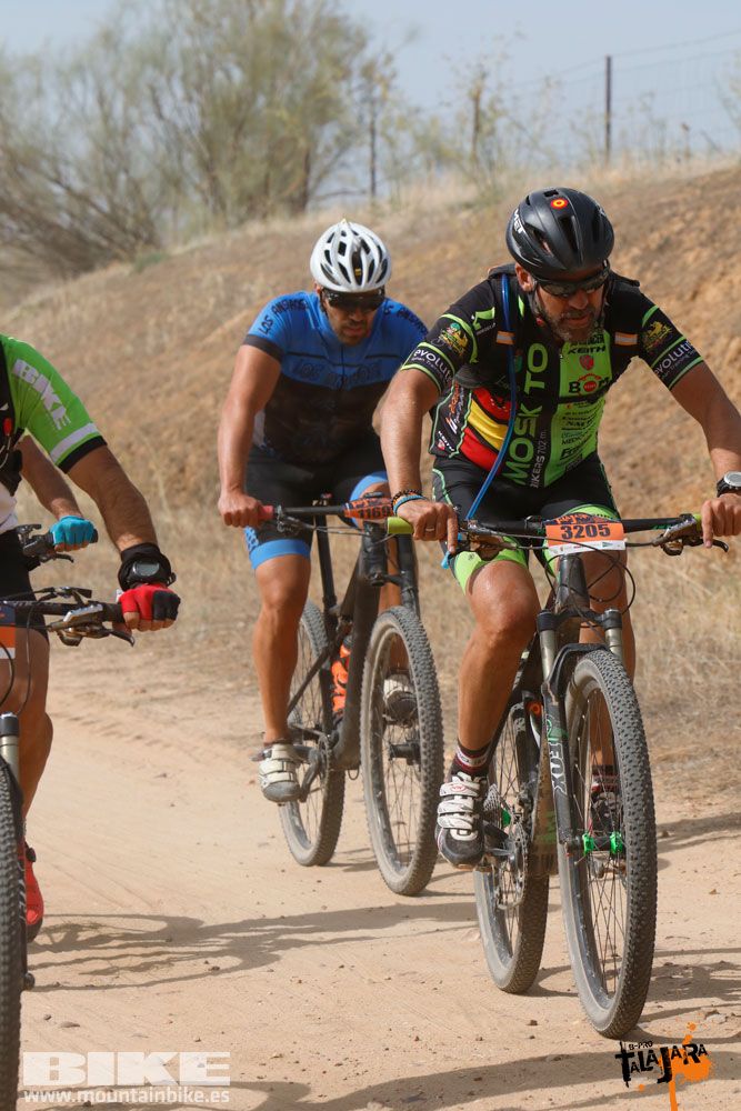 Talajara B-Pro 2017. Galeria 7