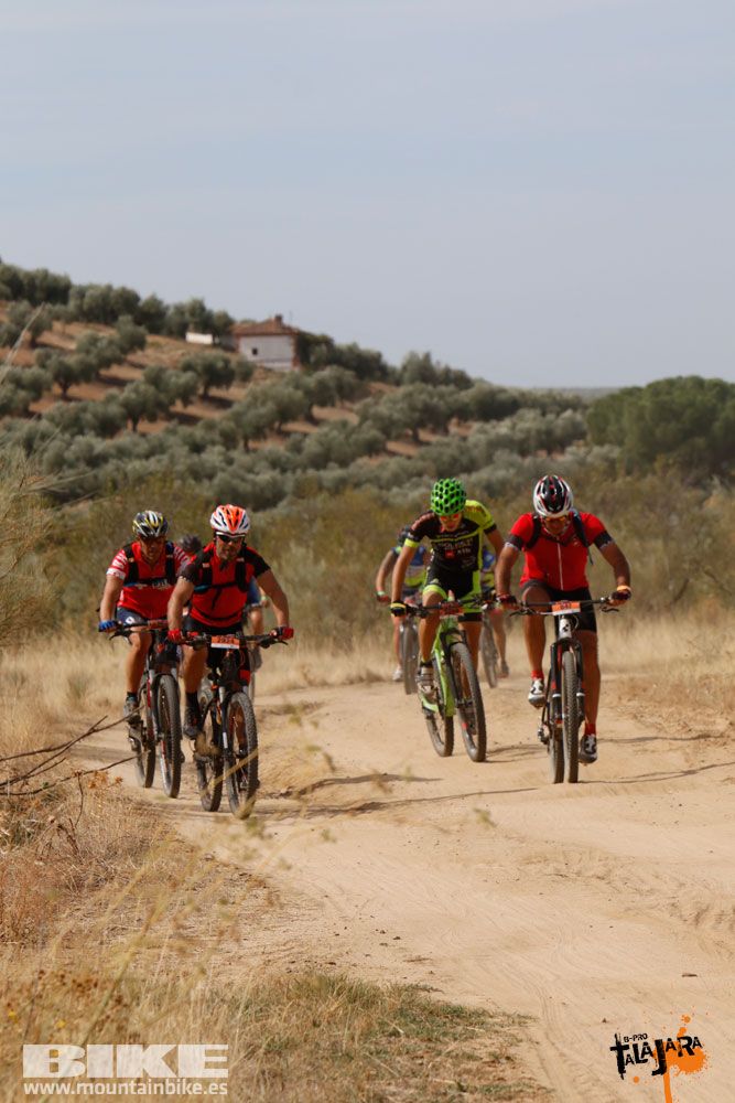 Talajara B-Pro 2017. Galeria 7