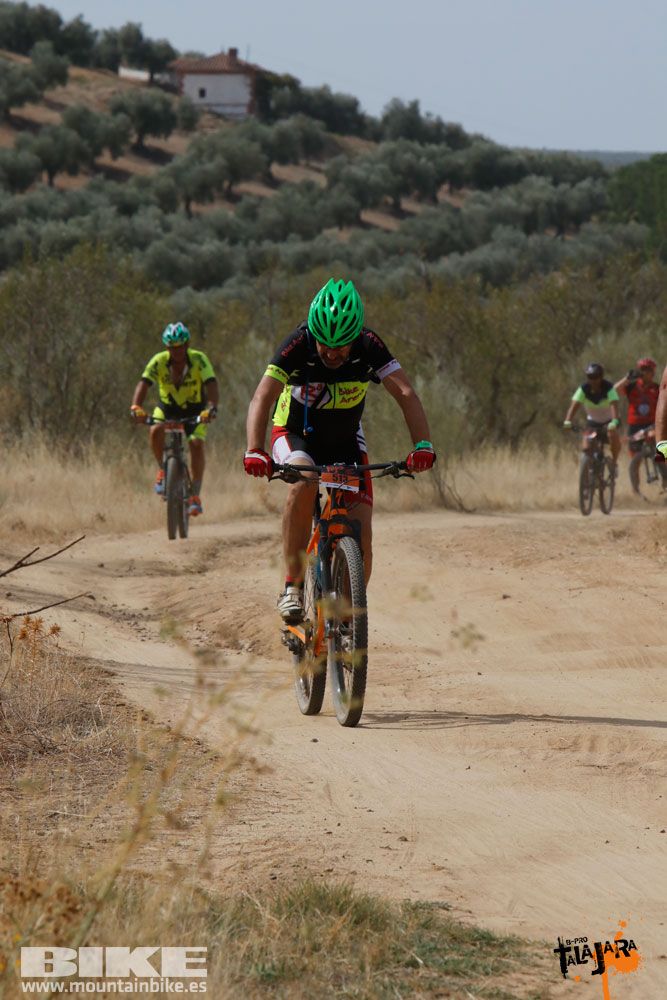 Talajara B-Pro 2017. Galeria 15