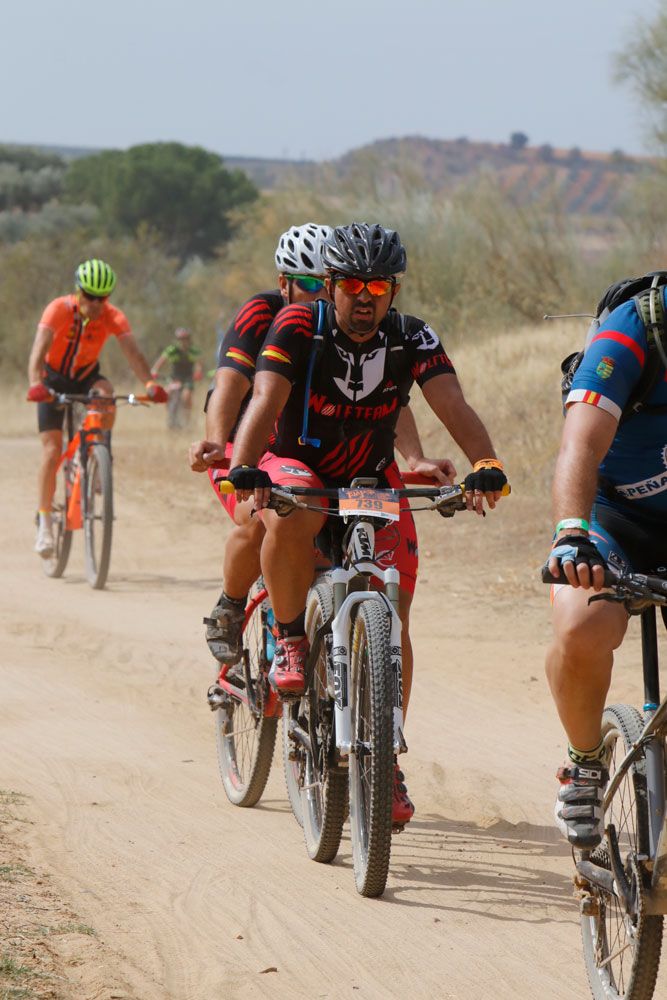 Talajara B-Pro 2017. Galeria 16