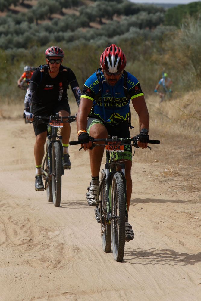 Talajara B-Pro 2017. Galeria 16