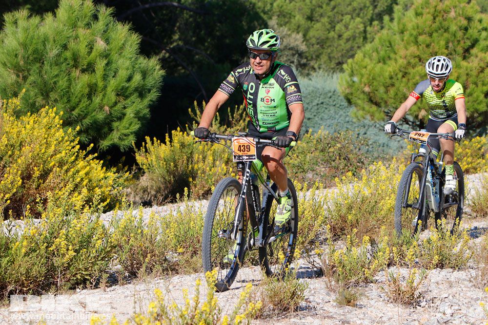 Ruta de las Encinas 2017. Galería 2