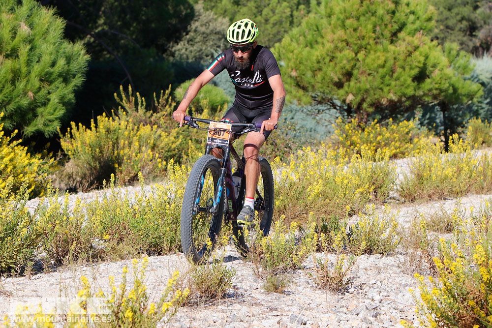 Ruta de las Encinas 2017. Galería 2
