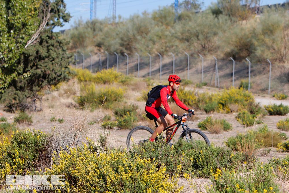 Ruta de las Encinas 2017. Galería 2