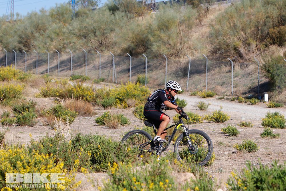 Ruta de las Encinas 2017. Galería 2