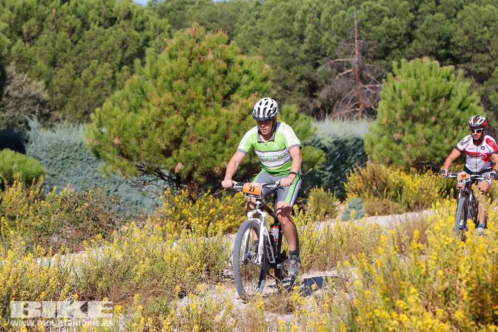 Ruta de las Encinas 2017. Galería 2